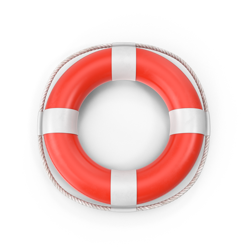 WordPress hilfe _Rettungsring